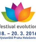 Festival Evolution