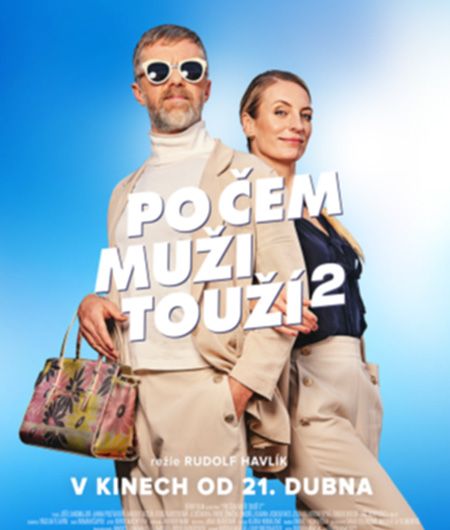 Po čem muži touží 2