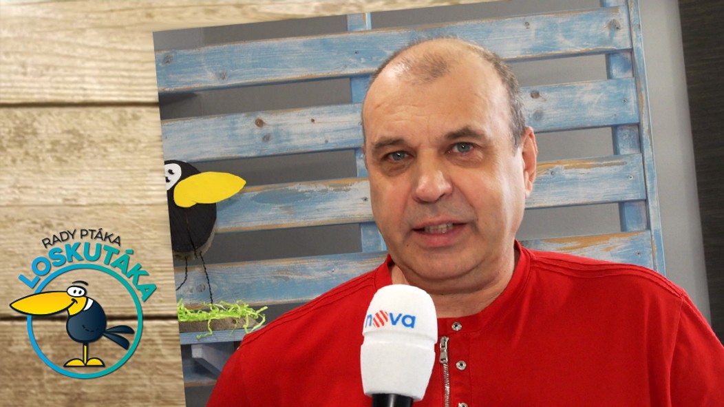 Rady ptáka Loskutáka - repka z Volejte