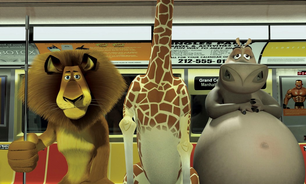 Madagaskar - 4