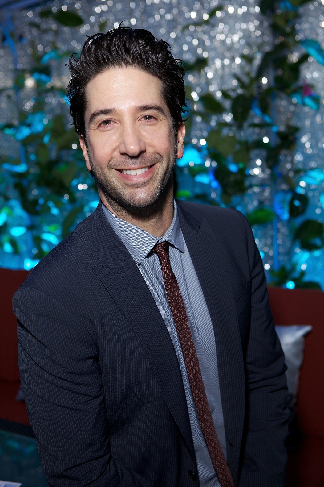 David Schwimmer