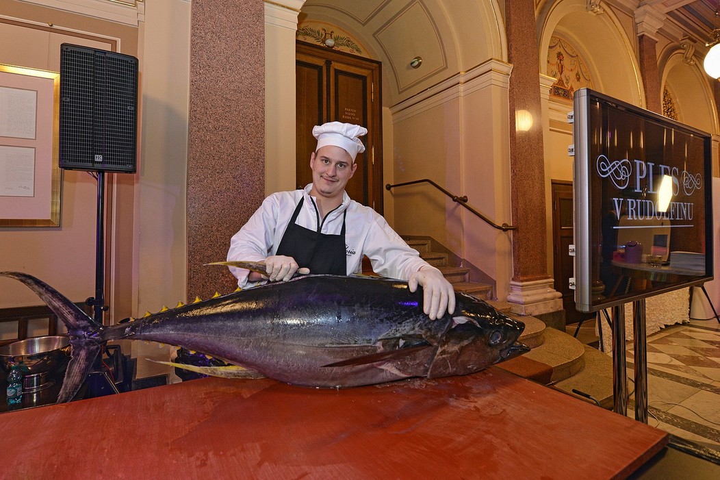 Ples v Rudolfinu 2020 (11)