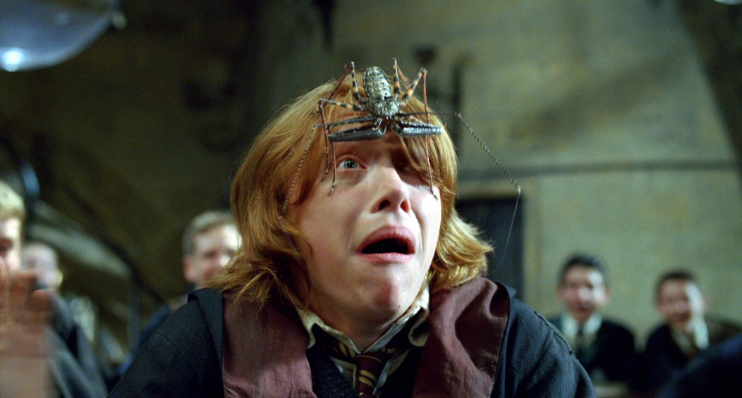 Harry Potter - 13