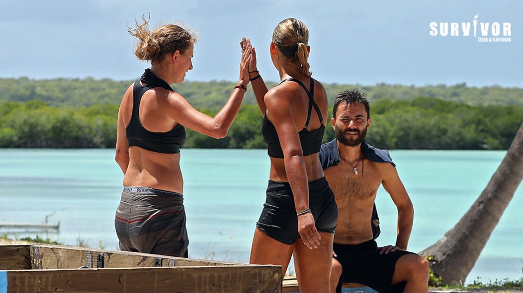 Survivor - CD 31