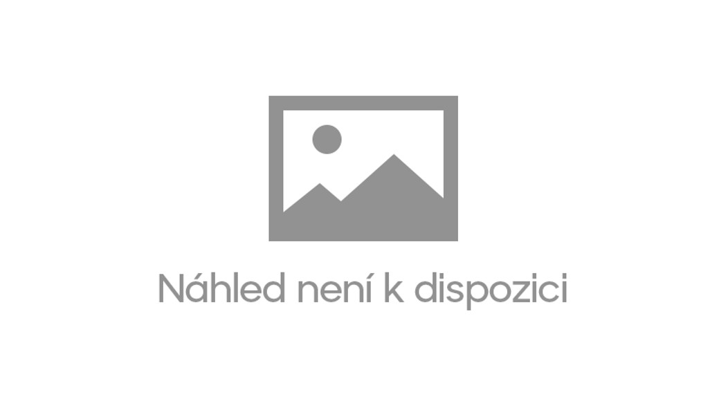 Letopisy Narnie: Lev, čarodějnice a skříň - 12