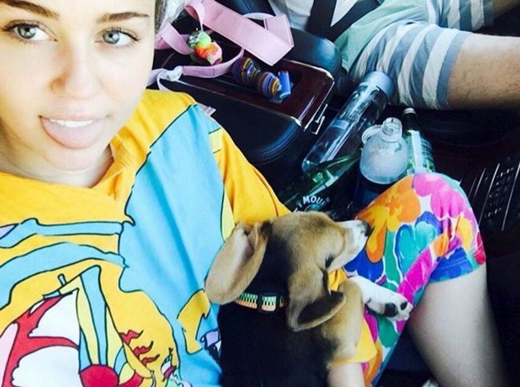 Miley Cyrus - 4