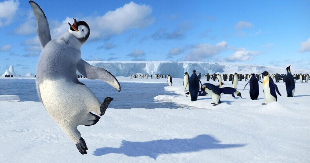 Happy feet - 2