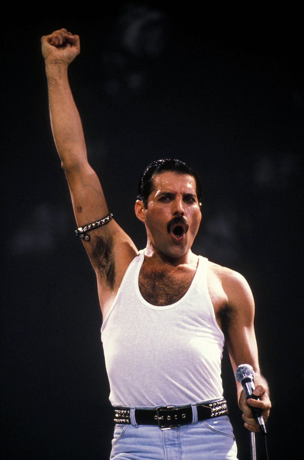 Freddie Mercury (5)