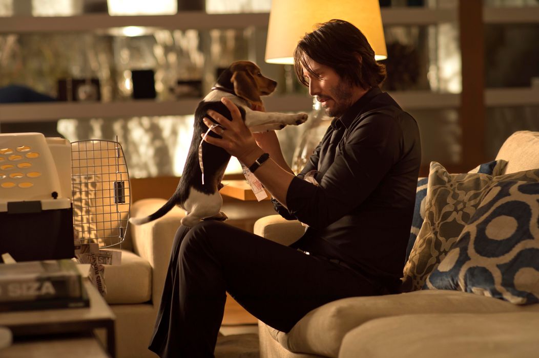 John Wick - 1