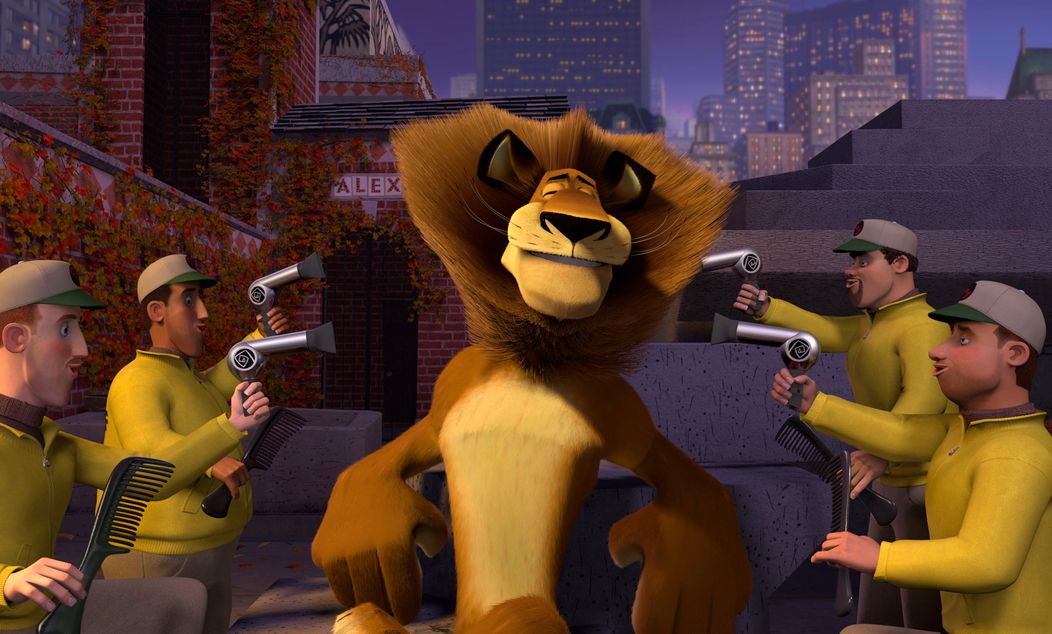 Madagaskar - 8