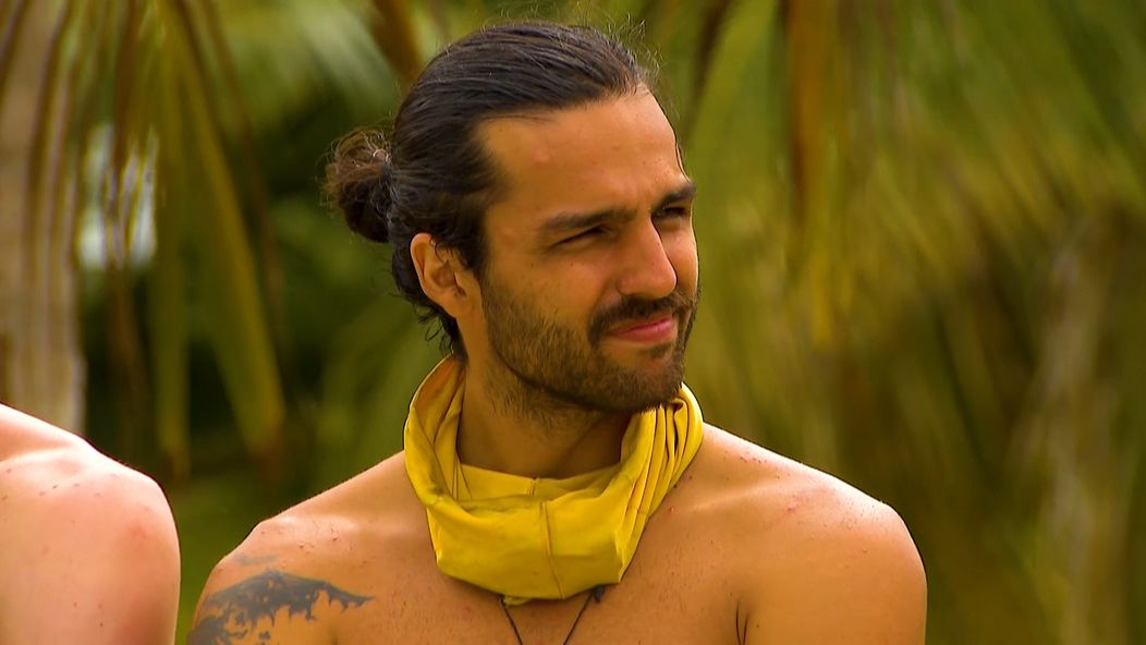 Survivor - Roman