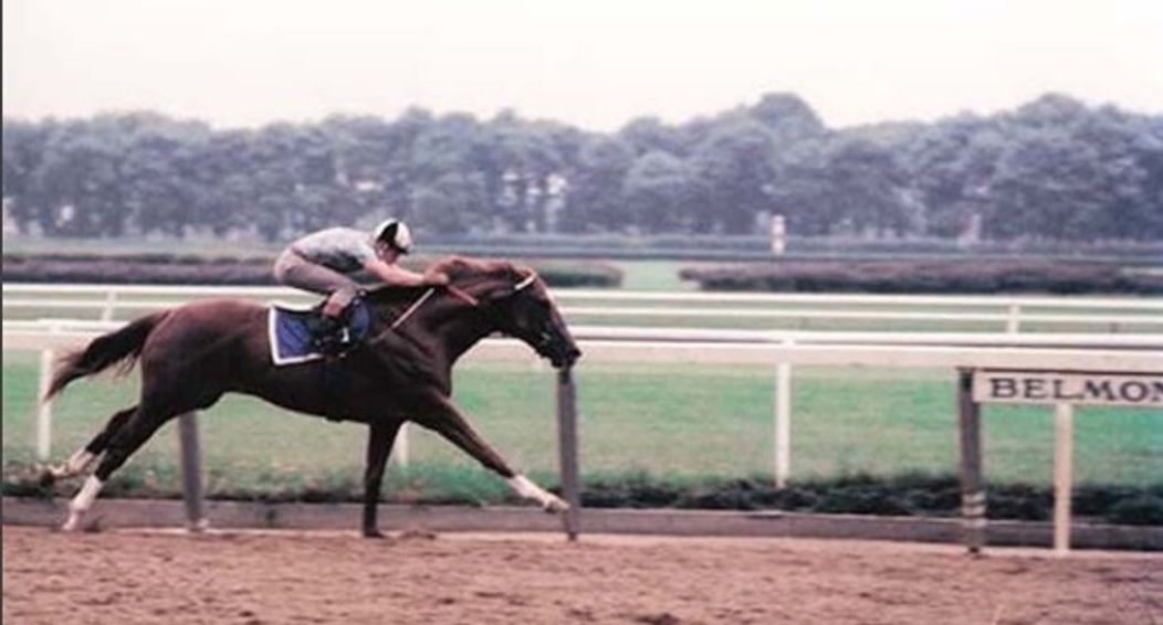 Secretariat - 2