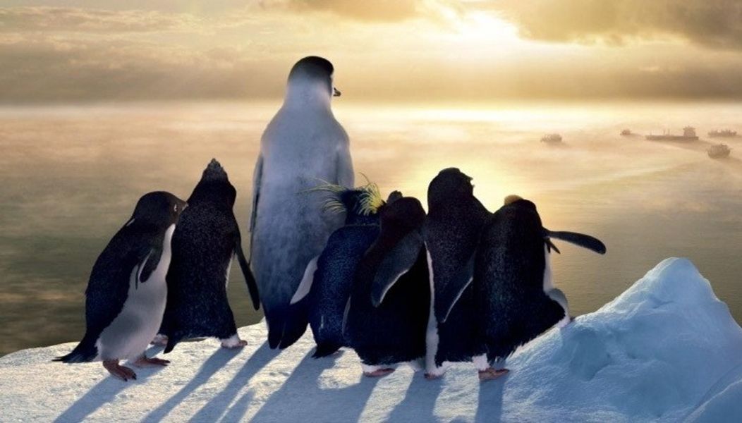 Happy feet - 10