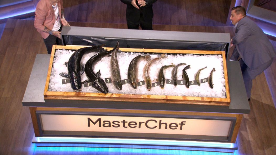 MasterChef - 10. díl