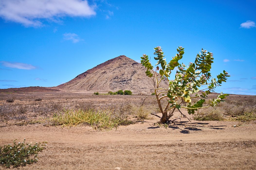 caboverde - 052