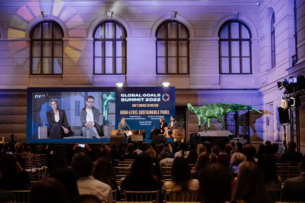Global Goals Summit (4)