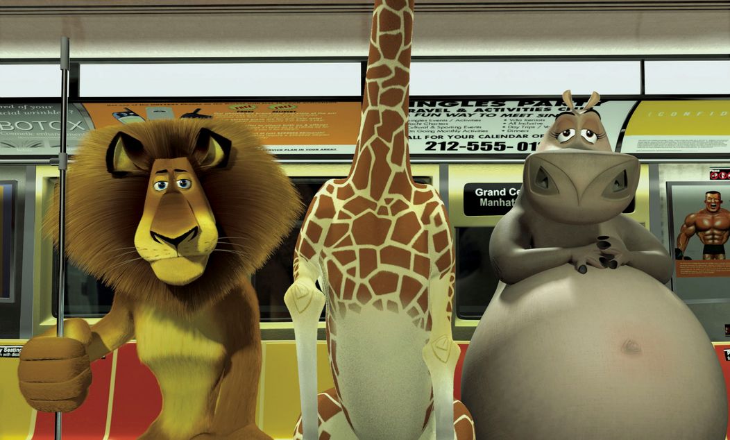 Madagaskar - 4