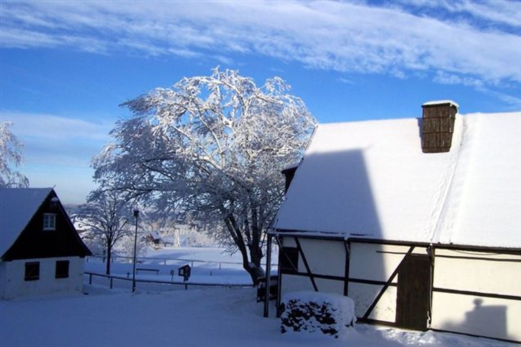 winter 2010 014