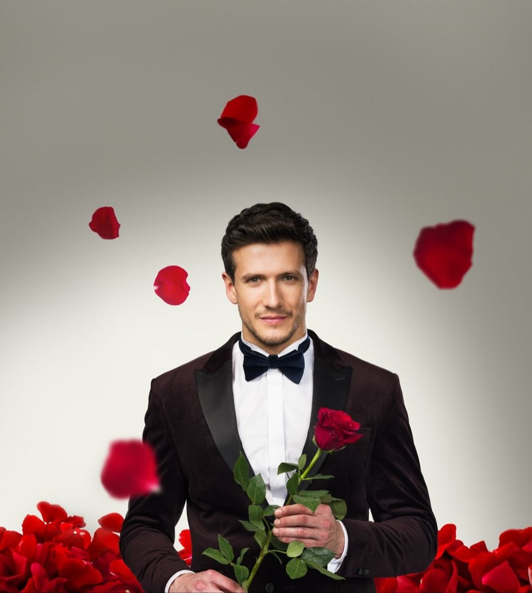 Bachelor - Jan Solfronk