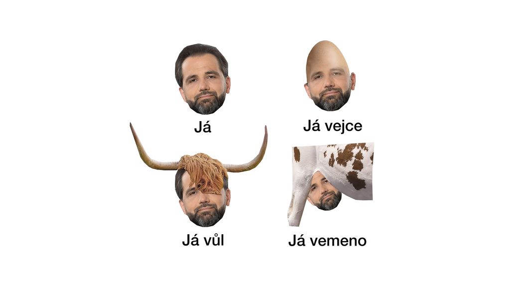 Kalkulátor - dražba mikiny od TMBK pro organizaci Patron dětí