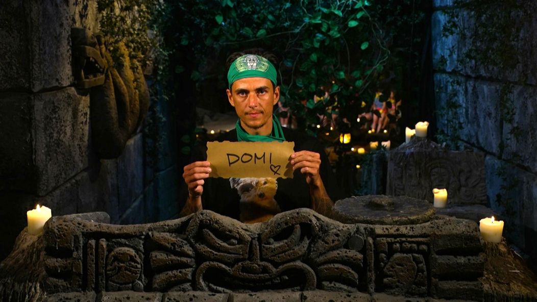 Survivor - Koťák