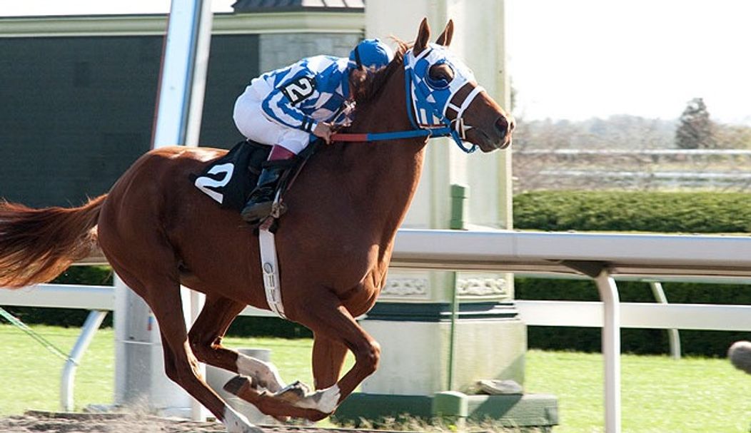 Secretariat - 4