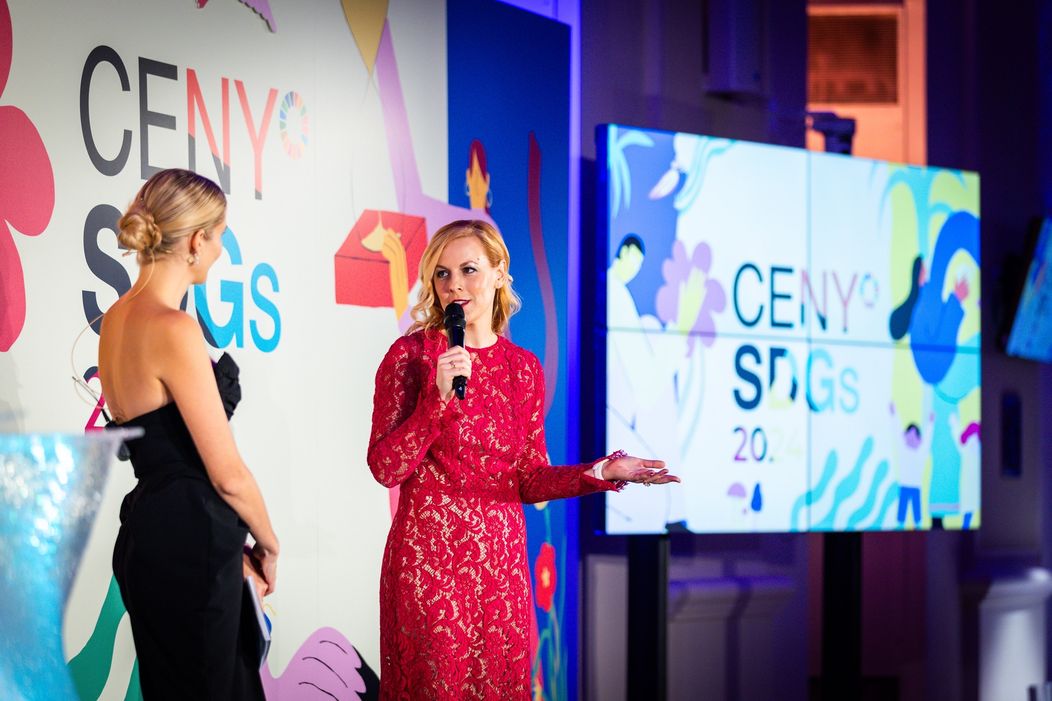 Ceny SDGs (6)