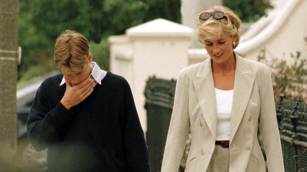 Princezna Diana a William