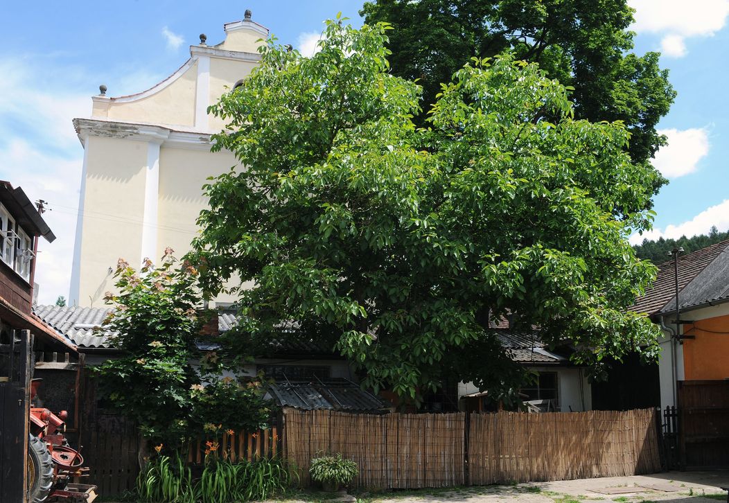 Křečovice - Vesnička má středisková (2014)