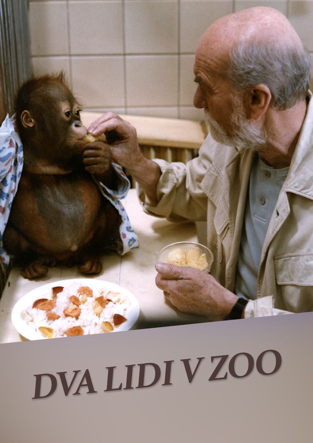 Dva lidi v zoo poster