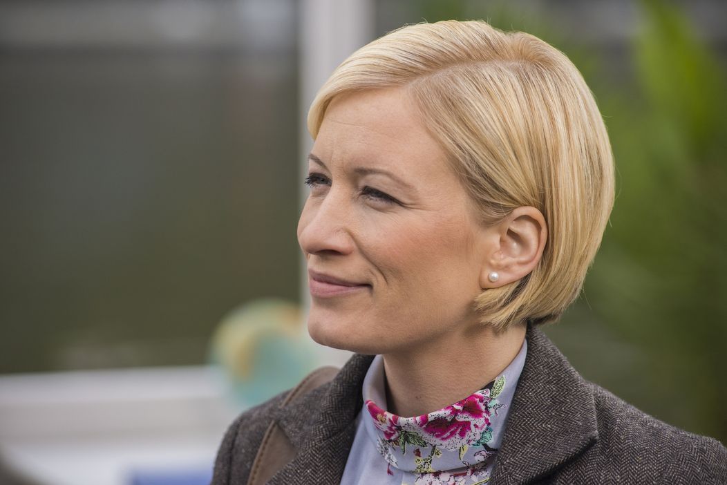 Dvorakova 2014