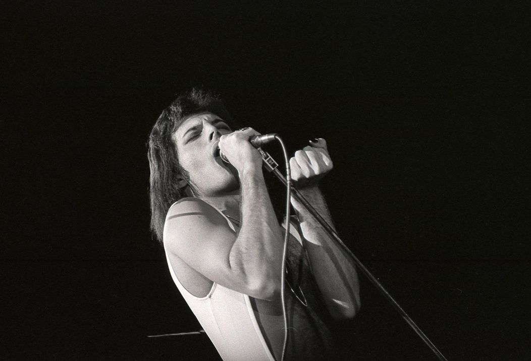 Freddie Mercury (6)