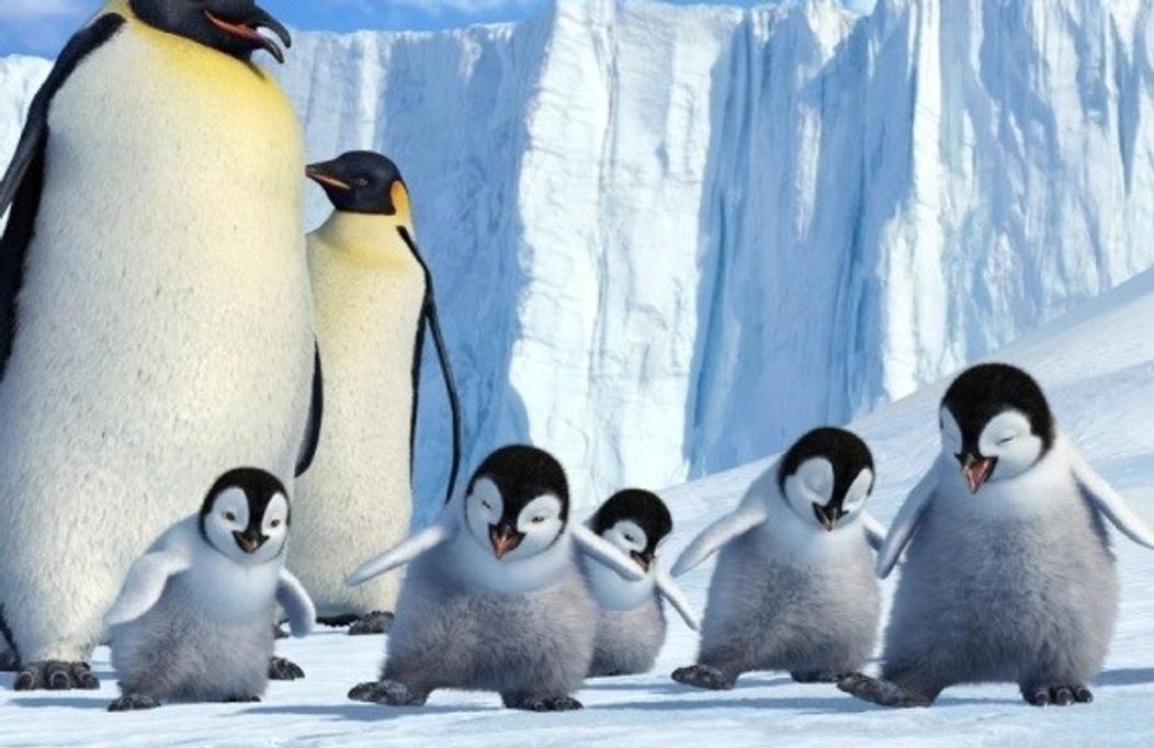 Happy feet - 8
