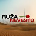 Ruža pre nevestu