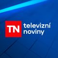Televizní noviny