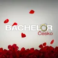 Bachelor