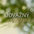 Odvážný a krásná