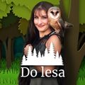 Do lesa