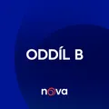 Oddíl B