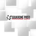 Soukromé pasti