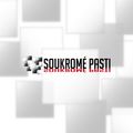 Soukromé pasti