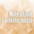 Malý pitaval z velkého města