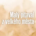 Malý pitaval z velkého města