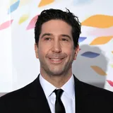 David Schwimmer