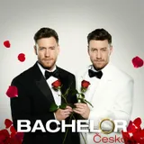 Bachelor