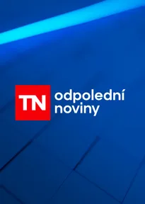 Odpolední Televizní noviny