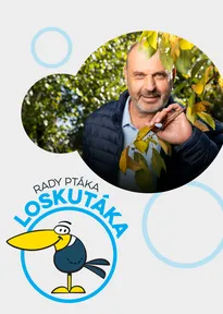 Rady ptáka Loskutáka