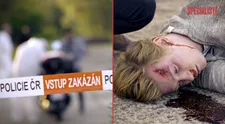OČIMA EXPERTA: Češi z pomsty nevraždí. Potrestání nechávají na naší justici