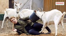ÚTERÝ V ORDINACI: Jindřich se zamiloval! Zajiskří to i u Bibi s Vojtou. Zato Heluš čeká válka s kozami...