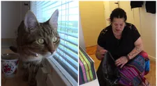 VIDEO: Překvapení na dně kočičího záchodu. Vyměněná manželka se při úklidu málem pozvrací!